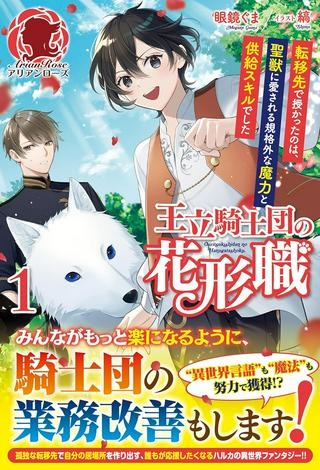 立騎士団の花形職 ～転移先で授かったのは、聖獣に愛される規格外な魔力と供給スキルでした～ Raw Free