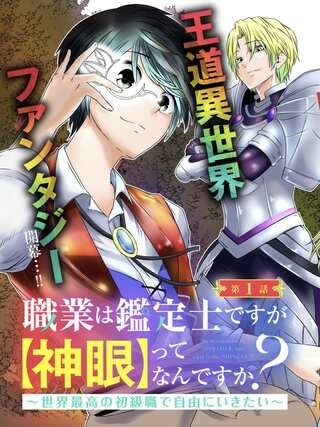 職業は鑑定士ですが【神眼】ってなんですか？　～世界最高の初級職で自由にいきたい～ Raw Free